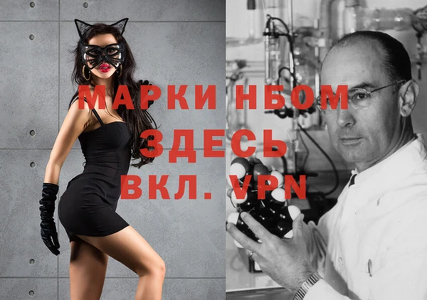 шишки Алексеевка