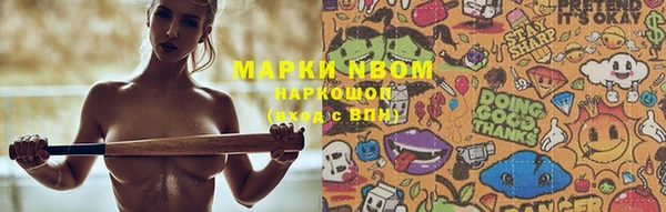 шишки Алзамай