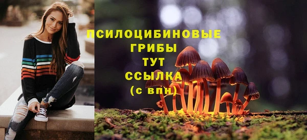 шишки Алзамай