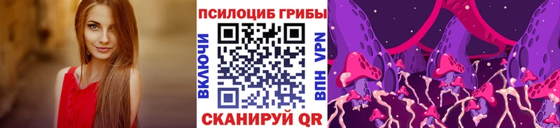 кракен сайт  Дмитриев  Псилоцибиновые грибы MAGIC MUSHROOMS 